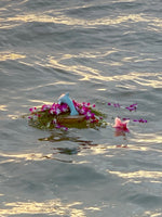 Dolphin Urn