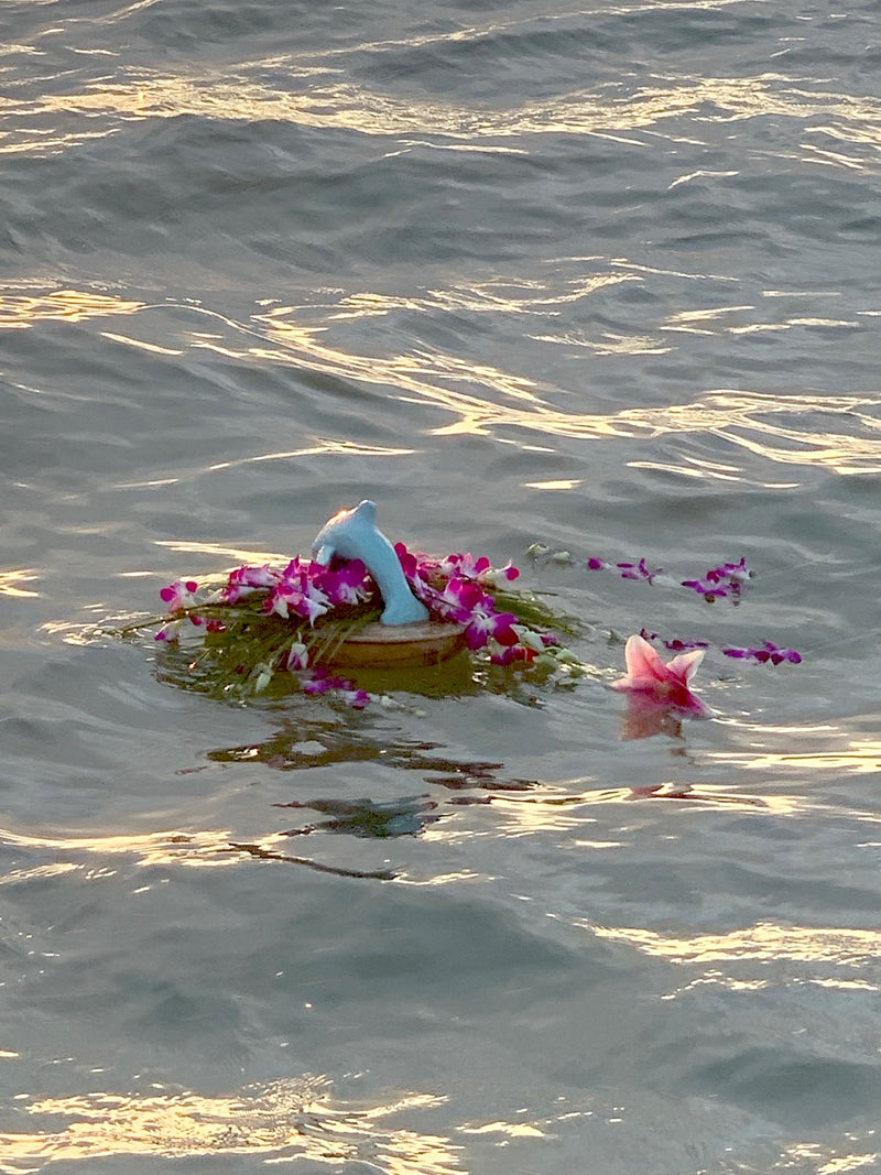 Dolphin Urn