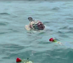 Large Biodegradable Sea Turtle Urn for Ocean Burial - Eco-Friendly Water Burial Urn