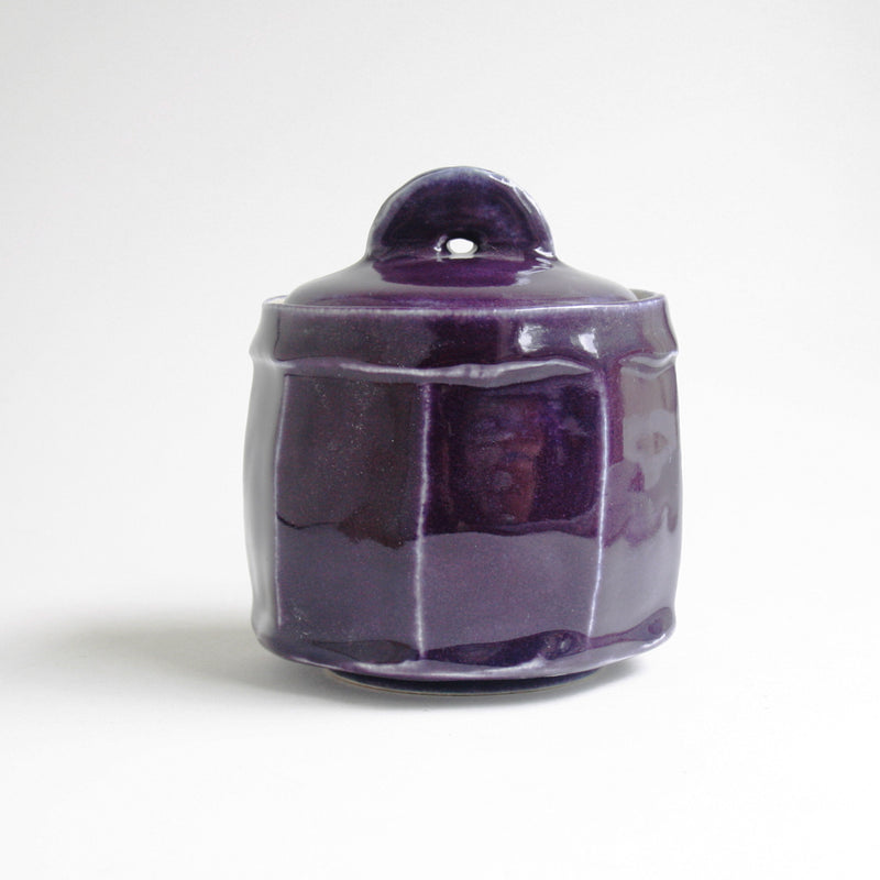 xs Purple Pet Urn