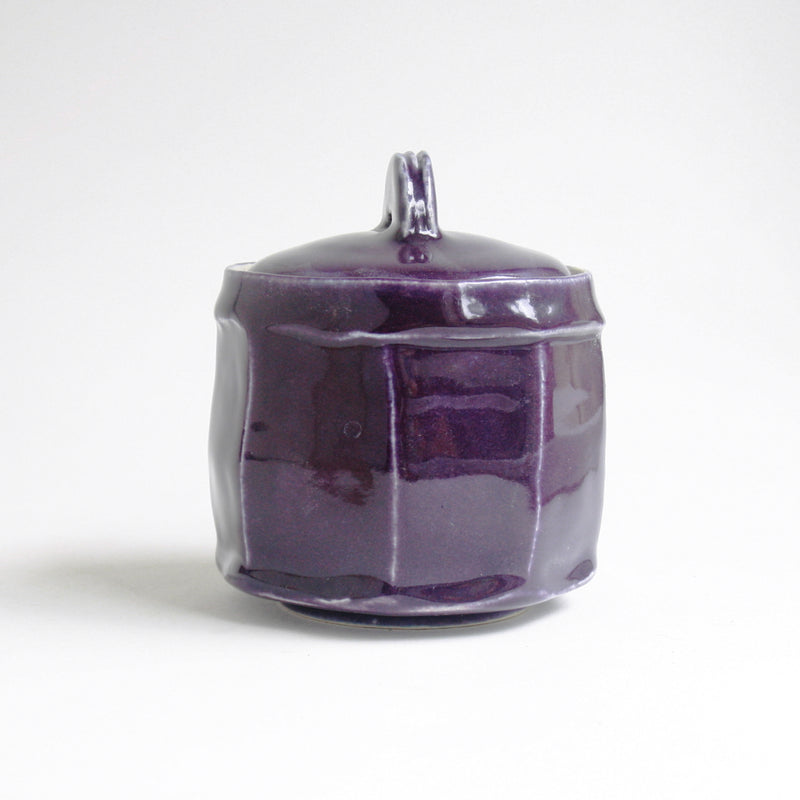 xs Purple Pet Urn