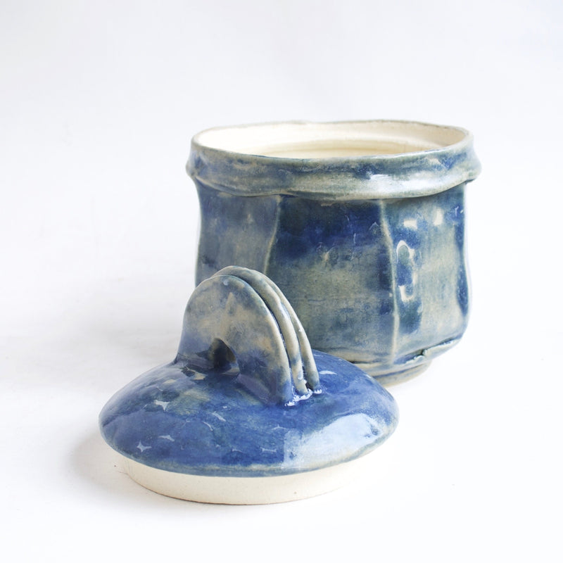 Blue Marble Pet Urn - / small